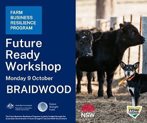 Future Ready Workshop - Braidwood
