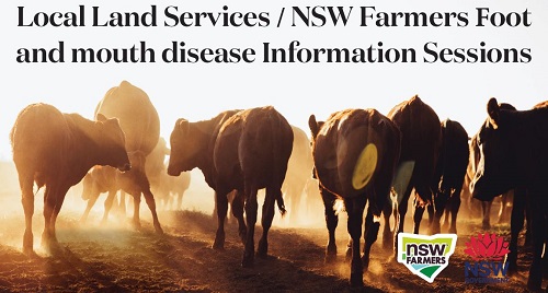 LLS/NSWF Foot & Mouth Disease Info Session – Dubbo