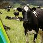 NSWF Dairy Section 2024 Annual General Meeting